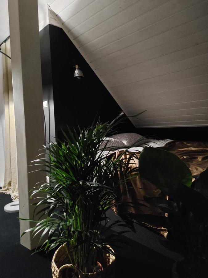 Apartament Lipowa 3 Mrągowo Exteriör bild